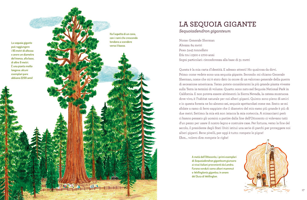 interno Voci dal mondo verde