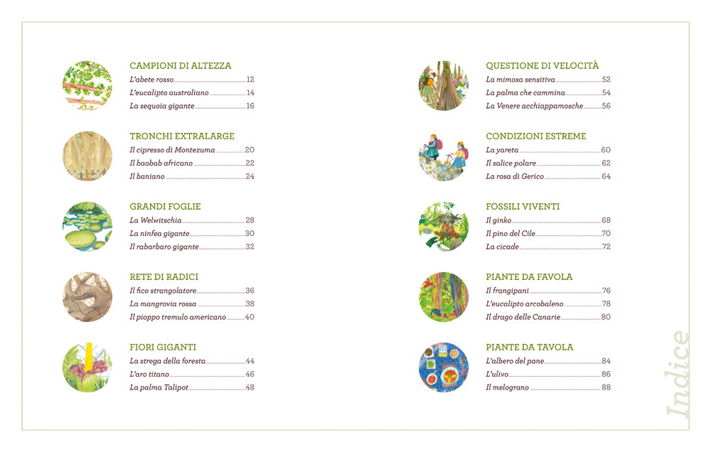 interno Voci dal mondo verde