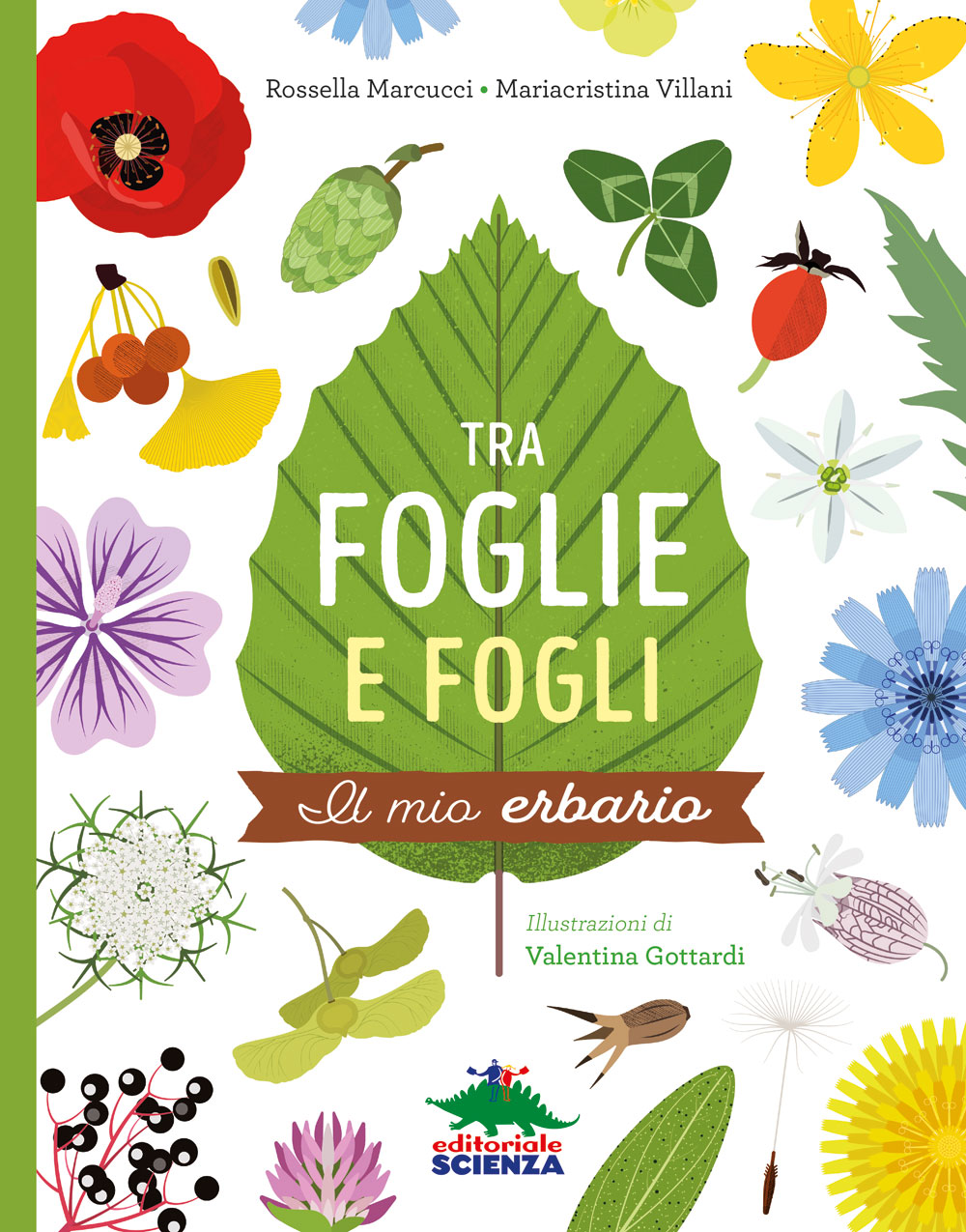 Tra foglie e fogli