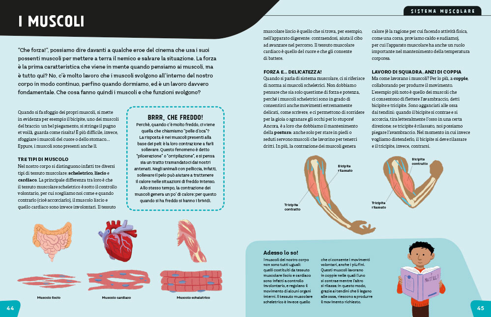 Corpo umano: enciclopedia per ragazzi