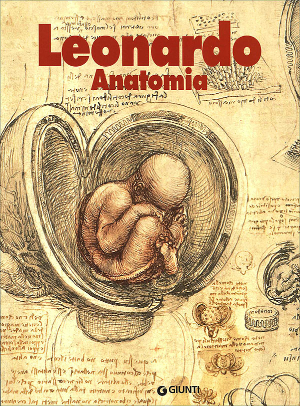 Leonardo. Anatomia