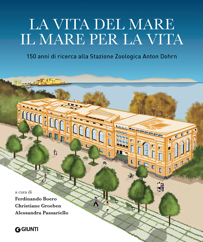La vita del mare  il mare per la vita