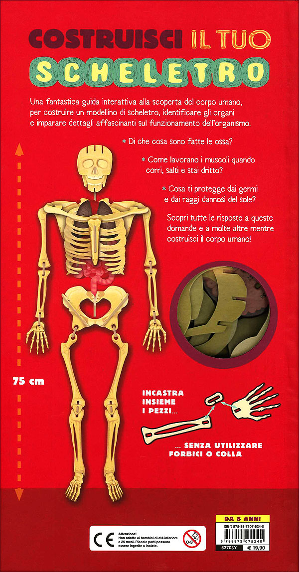 Costruisci il tuo scheletro e scopri come funziona il corpo umano