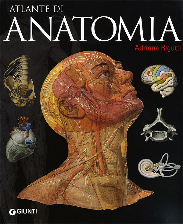 La prof. Prof di anatomia. Di anatomia (2002) актриса. Displacement map sci-fi. Prof di anatomia.