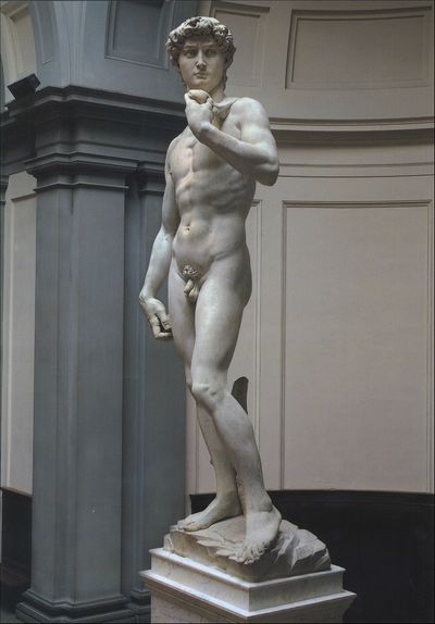 Cartolina. Firenze - Galleria dell'Accademia. David (1501-1504)
