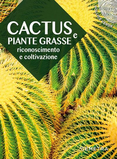 Cactus e piante grasse