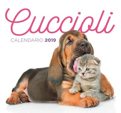 Cuccioli - Calendario Desk 2019