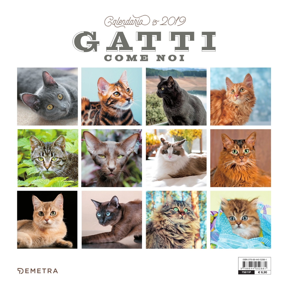 Gatti come noi - Calendario 2019