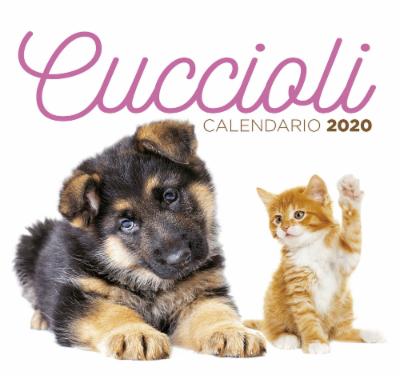 Calendario Cuccioli desk 2020
