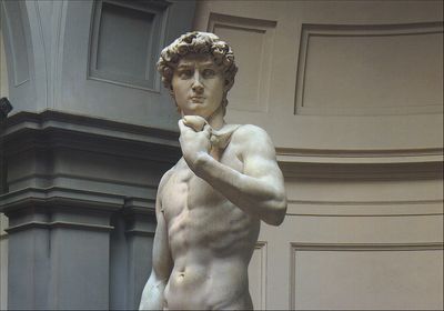 Cartolina. Firenze - Galleria dell'Accademia. David (1501-1504)