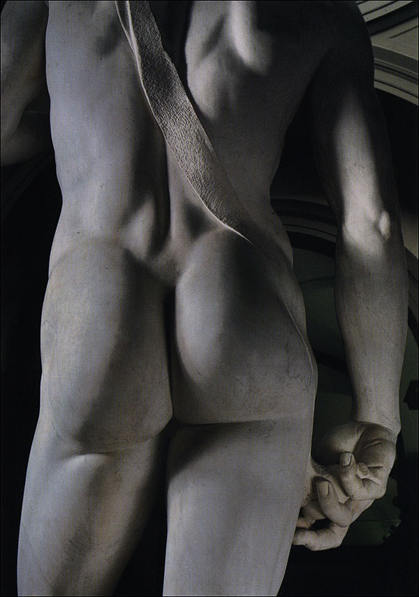 Cartolina. Firenze - Galleria dell'Accademia. David, particolare (1501-1504)