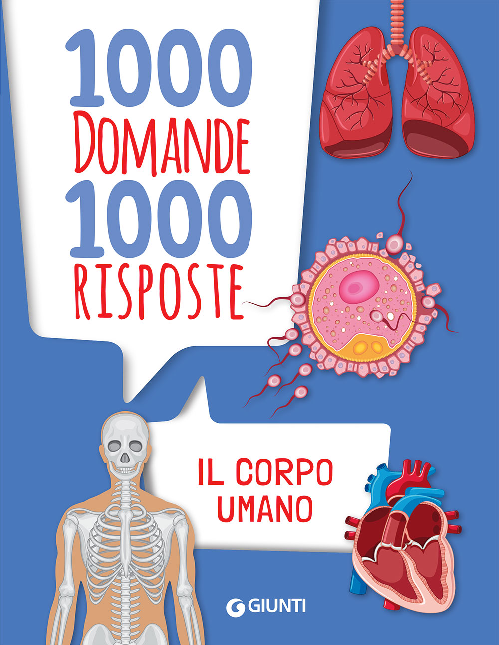 Quante Ossa Abbiamo Nel Corpo Umano