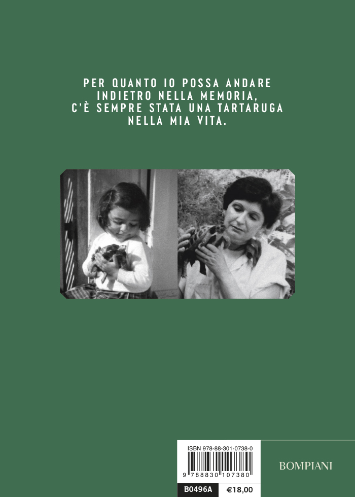 Dov'è la mia rana? E altri carezzalibri Usborne