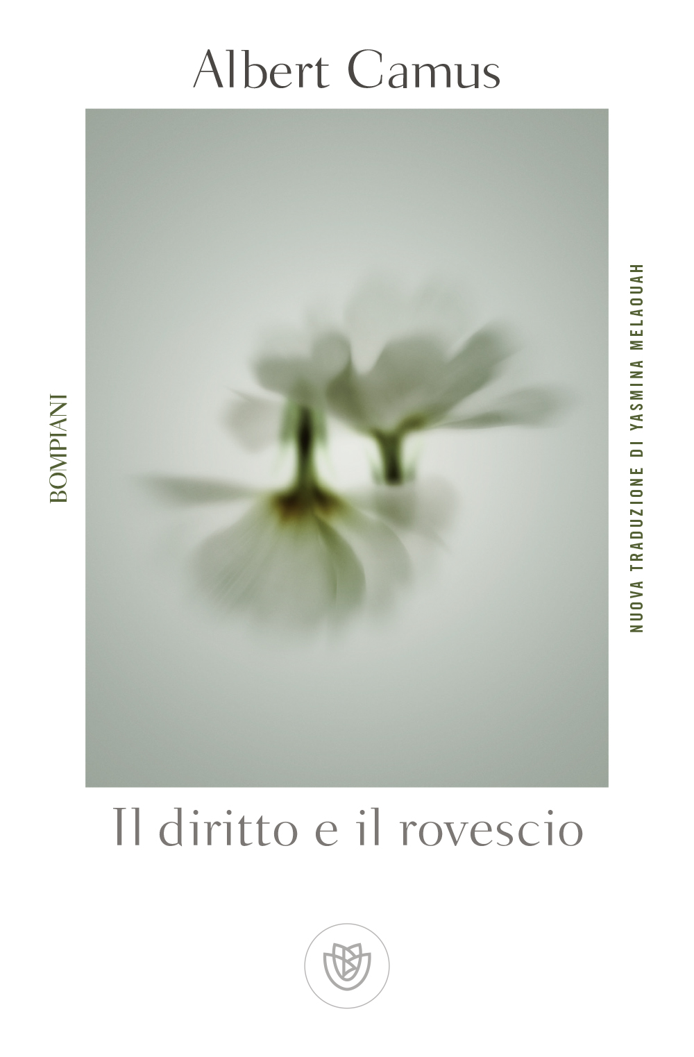 Il diritto e il rovescio