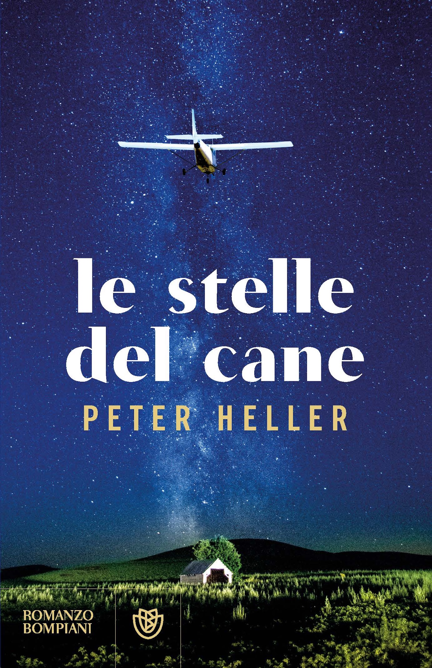 Le stelle del cane