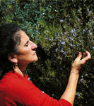 Rosalba Gioffré